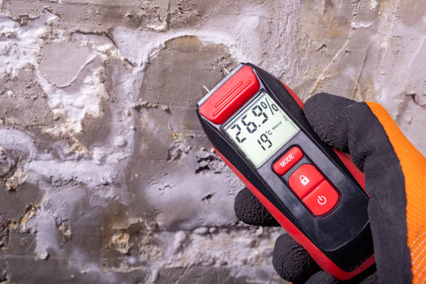 Best Mold Remediation for Specific Building Types in Country Homes, WA
