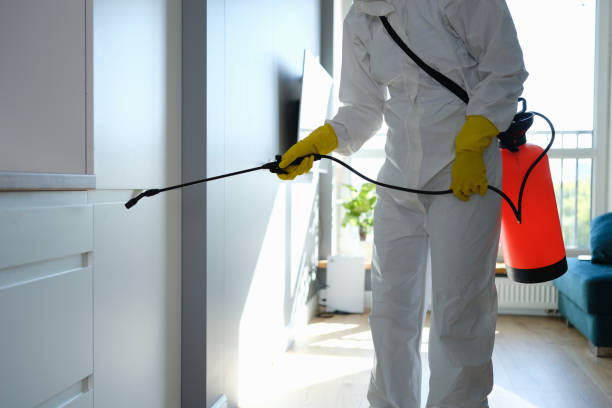 Best Commercial Mold Remediation in Country Homes, WA