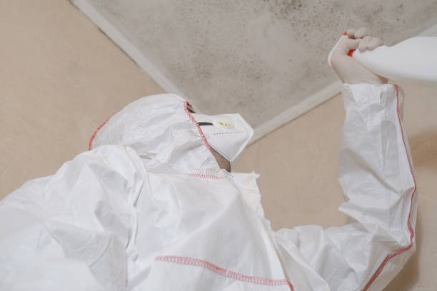 Best Mold Remediation for Specific Building Types in Country Homes, WA